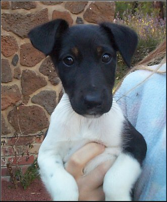 ROXY
JANUARY 2006