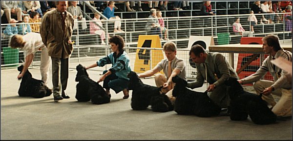 Winchie far left
and son Dino 2nd from right
Brisbane Royal 1986
