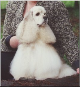 SAM
IN NEW ZEALAND