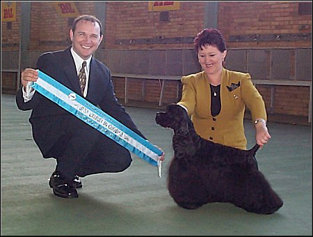Hogan
Best in Group
under Breed Specialist
Jamie Hubbard