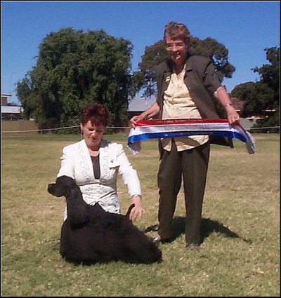 Hogan
BEST IN SHOW
January 2003