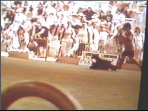 Hogan
On the Move
Sydney Royal 2002
