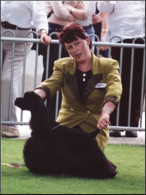 Hogan
2002 Sydney Royal