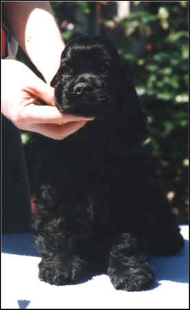 LILY AT
10 weeks