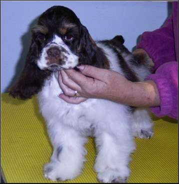 Peggy