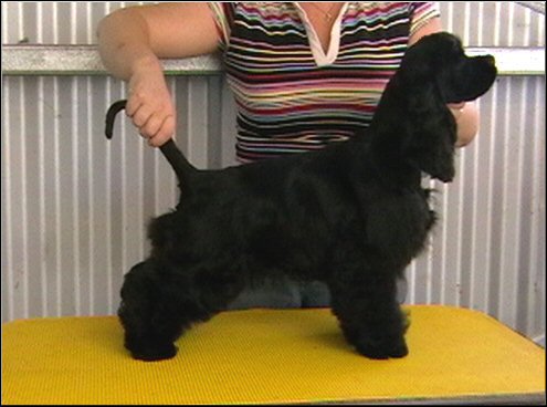 Vanni at 4 months