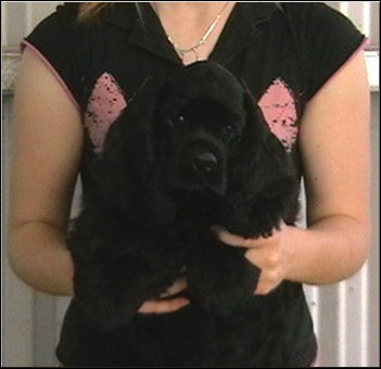 Calli at 4 months