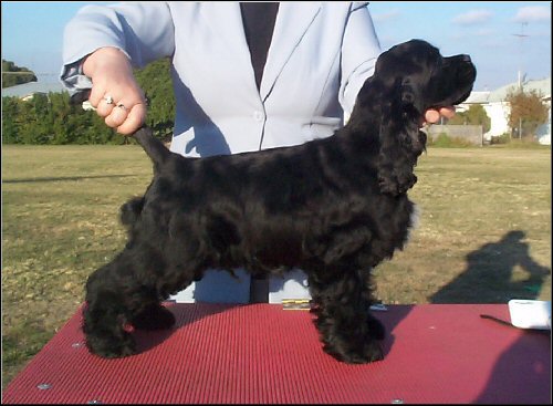 Woody at 14 weeks