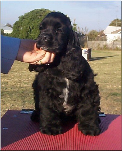Woody at 14 weeks