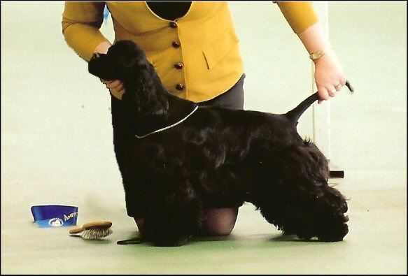 Zsa Zsa at 9.5 months