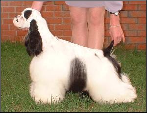 WILLY
8 MONTHS