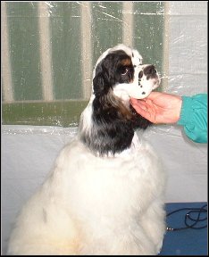 WILLY
7 MONTHS
